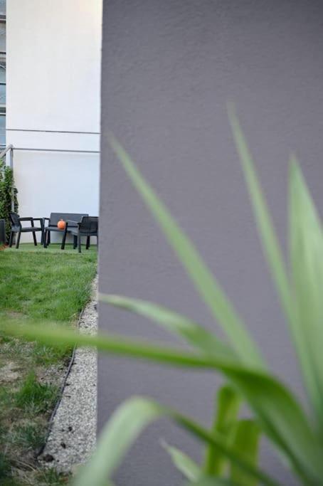 Апартаменты #Minehouse Тимишоара Экстерьер фото
